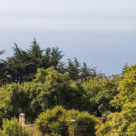 Mialon Rural Apartment: Haven Of Calm In Nature